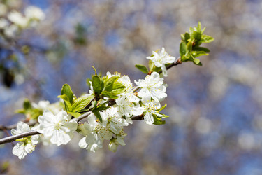 Similar image 21401527