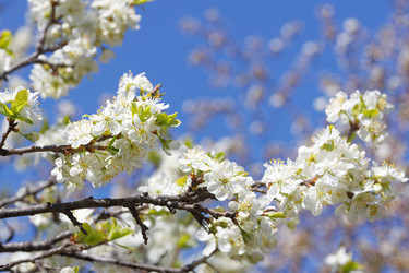 Similar image 21401530