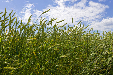 Similar image 21401755