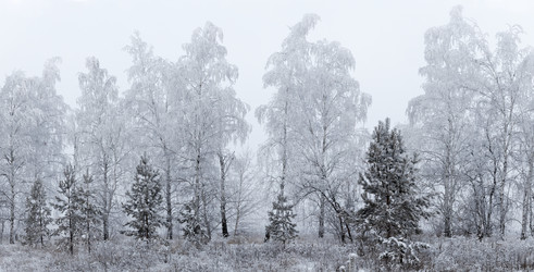 Similar image 21401761