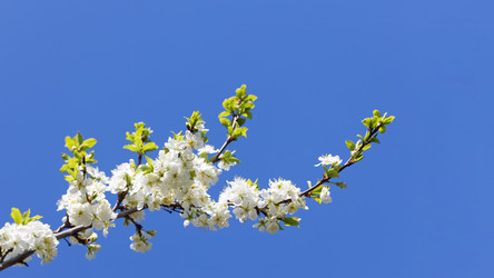 Similar image 21401762