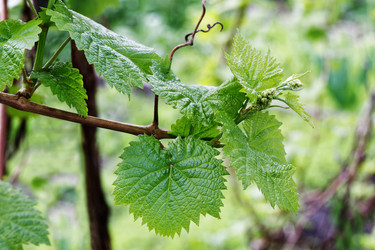 Similar image 21401763