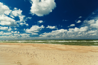 Similar image 21427895