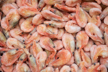 Similar image 21383755