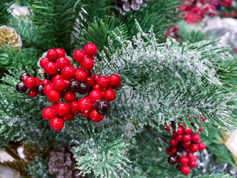 Similar image 21387086