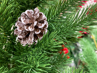 Similar image 21387087