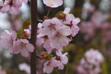 Similar image 21382066