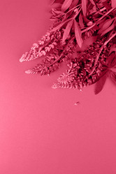 Similar image 21383807