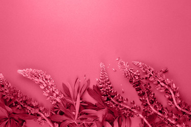 Similar image 21383808