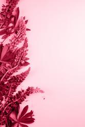 Similar image 21383809