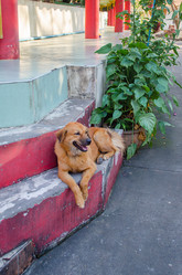 Similar image 21384876