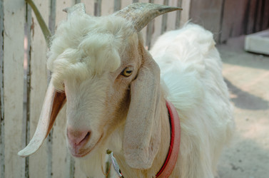 Similar image 21384878