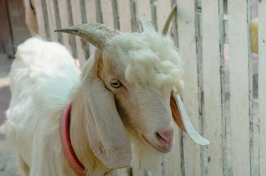 Similar image 21384989