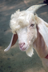 Similar image 21384990