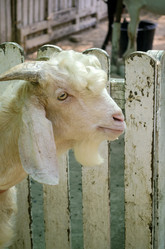 Similar image 21384879