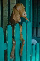 Similar image 21384880