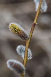 Similar image 21382389