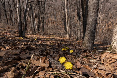 Similar image 21382390