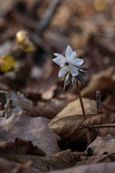 Similar image 21382391