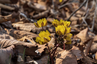 Similar image 21382392