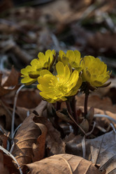 Similar image 21382393