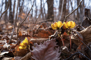 Similar image 21382394