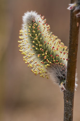 Similar image 21382395