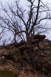 Similar image 21382396