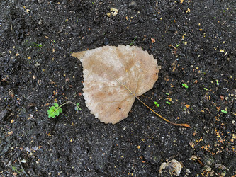 Similar image 21387090