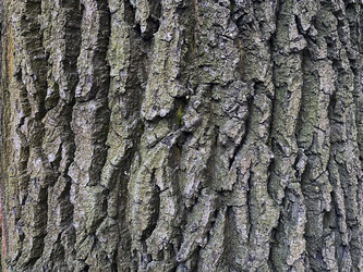 Similar image 21387097