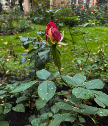 Similar image 21387101