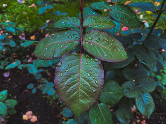 Similar image 21387106