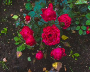 Similar image 21387107