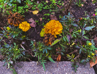 Similar image 21387108