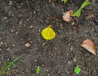 Similar image 21387109