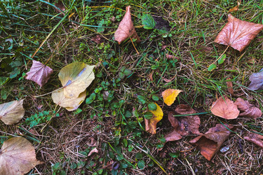 Similar image 21387112