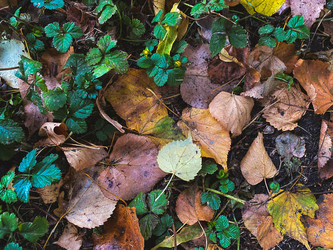 Similar image 21387113