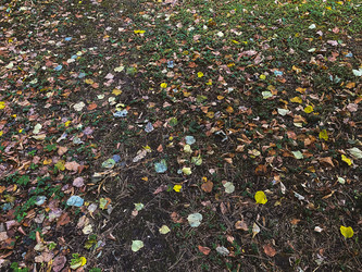 Similar image 21387116