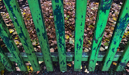 Similar image 21387118