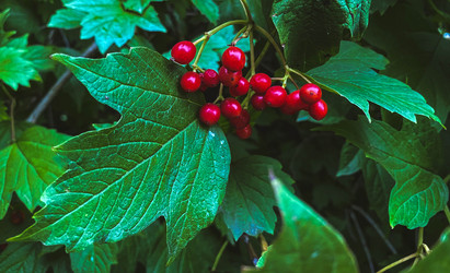 Similar image 21387121