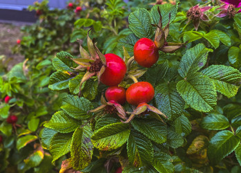 Similar image 21387123