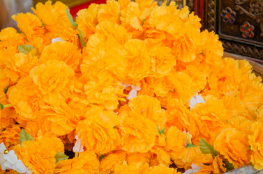 Similar image 21384882