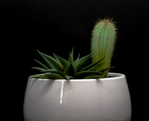 Similar image 21387138