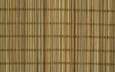 Similar image 21387160