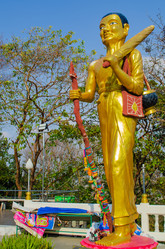 Similar image 21384991