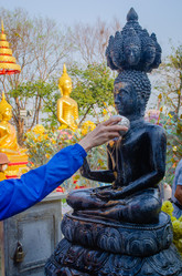 Similar image 21385003