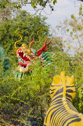 Similar image 21385004