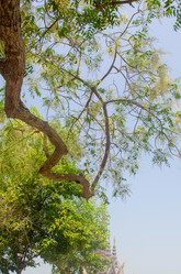 Similar image 21385015