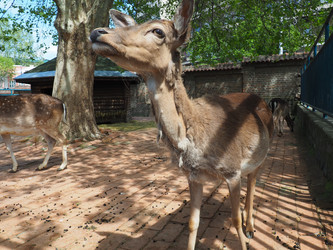 Similar image 21406378