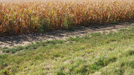 Similar image 21406379